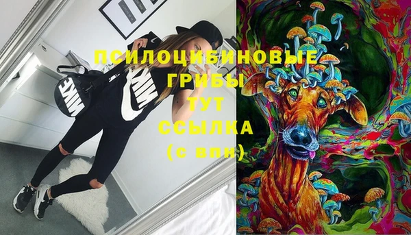 СК Волосово