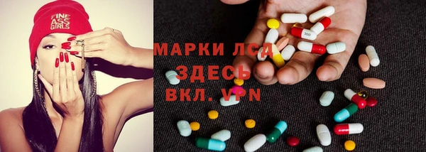 СК Волосово