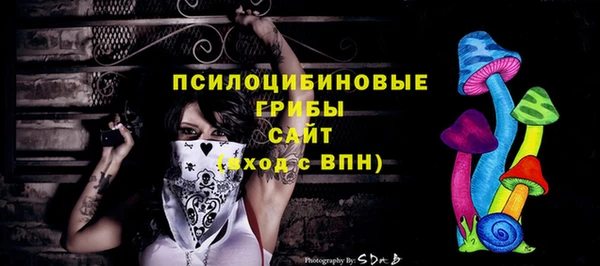 СК Волосово