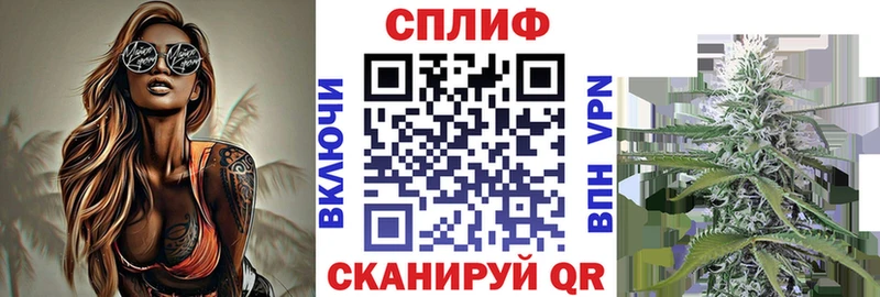 наркота  Гаджиево  Бошки марихуана планчик 